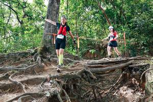 BIB: 
                            <button type="button" onclick="openModal(27718246)" class="btn btn-primary btn-sm float-right btn-popup" data-toggle="modal" data-target=".modal-high-quality">
                        <i class="fas fa-shopping-cart"></i> Add to Cart
                    </button>
                                            <button type="button" onclick="isThisMe(27718246, true)" class="btn btn-success btn-sm float-right btn-popup btn-isme hidden" data-toggle="tooltip" data-placement="bottom" title="นี่คือรูปของคุณใช่ไหม คลิกที่นี่เพื่อเอาเข้าอัลบั้ม">
                        <i class="fas fa-plus"></i> Add to album
                    </button>
                    <button type="button" onclick="isThisMe(27718246, false)" class="btn btn-warning btn-sm float-right btn-popup btn-isnotme hidden">
                        <i class="fas fa-ban"></i> Remove from album
                    </button>